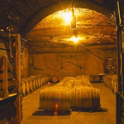Cave des Vignerons de Saumur