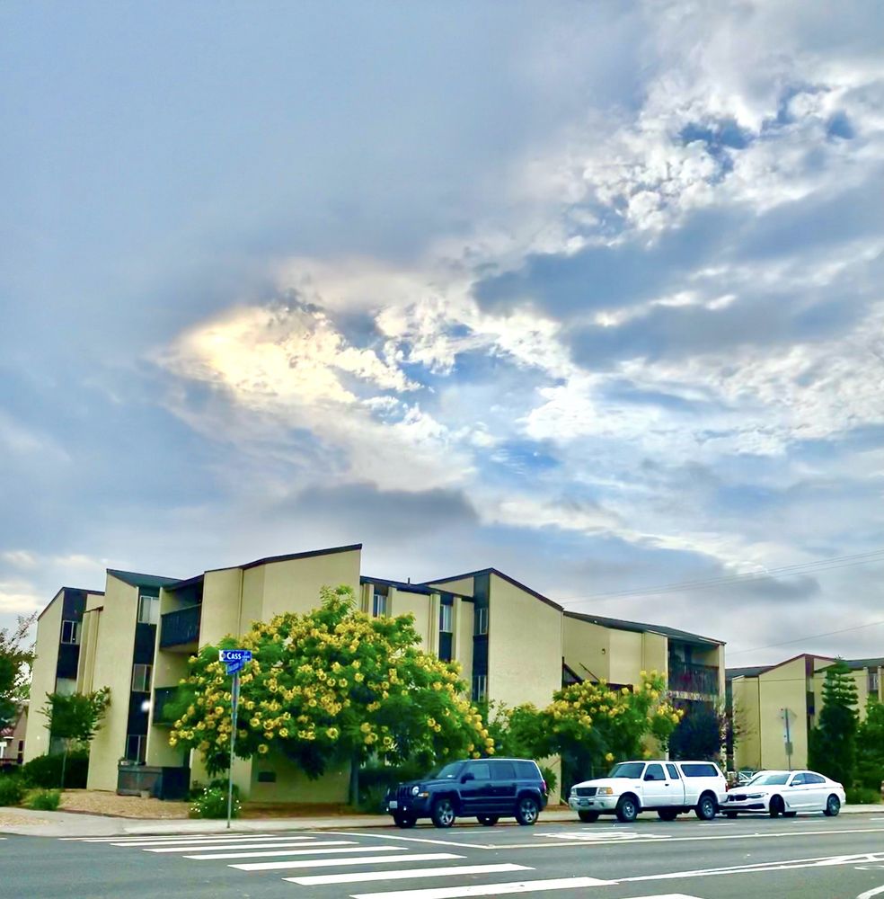 LUTHER VIEW APARTMENTS Updated August 2024 4810 Cass St, San Diego