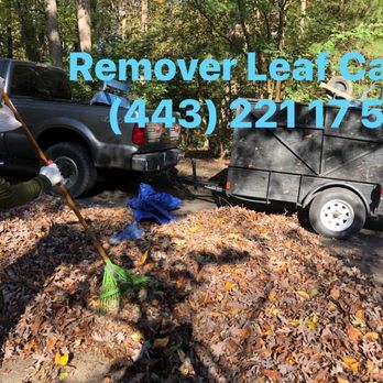 Chacon Hardscapes - a woman removing leaves from a trailer - Landscaping Near Me - Annapolis, Maryland Chacon Hardscapes - a woman removing leaves from a trailer - Landscaping Near Me - Annapolis, Maryland