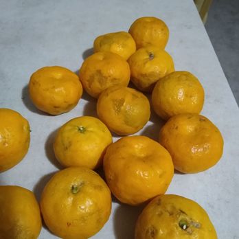 Holiday Market - a pile of oranges on a table - Grocery Near Me - Madison Heights, Michigan Holiday Market - a pile of oranges on a table - Grocery Near Me - Madison Heights, Michigan