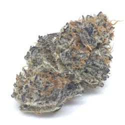 Gravity Dispensary - Look at this beauty