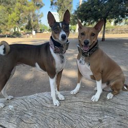 Nate's Point Dog Park - Balboa Park