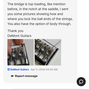 DeMont Guitars - Guitar Stores Near Me - Oswego, Illinois