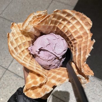 Salt & Straw - Honey Lavender Ice Cream - Ice Cream & Frozen Yogurt Near Me - Seattle, Washington