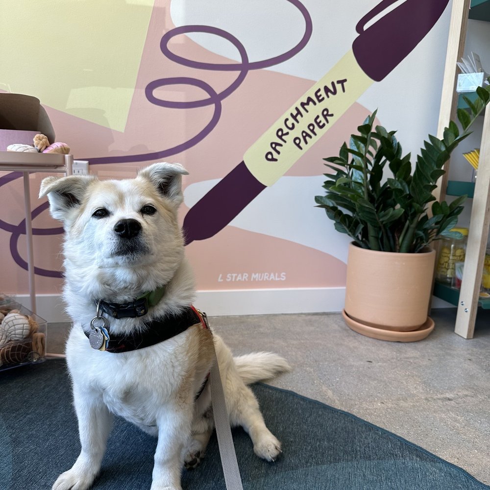 Parchment Paper - Kind enough to let my puppy dog come in (well behaved) - Gift Shops Near Me - Los Angeles, California