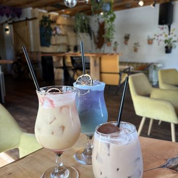 Wildcrafters - Tea Rooms Near Me - Jacksonville, Florida Wildcrafters - Tea Rooms Near Me - Jacksonville, Florida