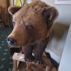 The Creamery Antique Mall - The same one. There was another one available with his mouth open.