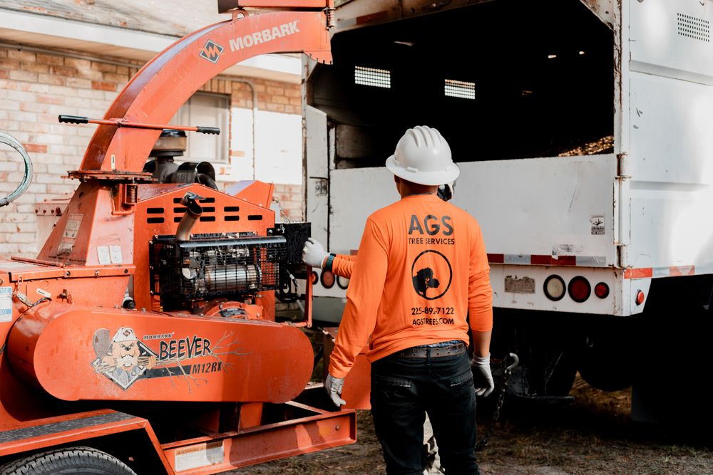 AGS Tree Services - tree service in Baton Rouge, LA
