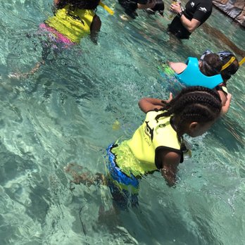 Discovery Cove - Amusement Parks Near Me - Orlando, Florida Discovery Cove - Amusement Parks Near Me - Orlando, Florida