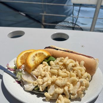 PacWhale Eco-Adventures - Lunch - Tours Near Me - Wailuku, Hawaii PacWhale Eco-Adventures - Lunch - Tours Near Me - Wailuku, Hawaii
