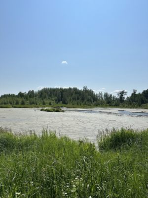 Elk Island National Park by null