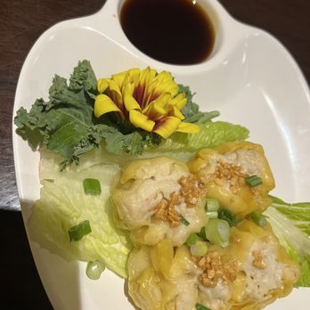 Baiyoke Thai Bistro - Steamed dumplings - Thai Near Me - Venice, Florida