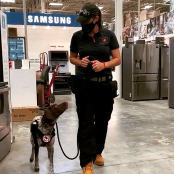 Pawsitive Training Service Dog Solutions - Pet Training Near Me Pawsitive Training Service Dog Solutions - Pet Training Near Me