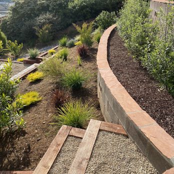 Forevergreen Landscape - Landscaping Near Me - San Francisco, California