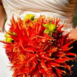 Maika's Garden - My bridal bouquet. Red and orange dahlias that I wrapped with ivory ribbon. So easy to make the night before! :)