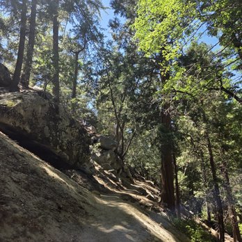 Ernie Maxwell Scenic Trail - Hiking Near Me