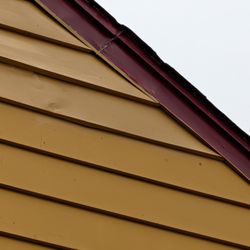 Bee's Roofing and Restoration - Rood/Siding