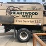 Photo of Heartwood West Tree Service