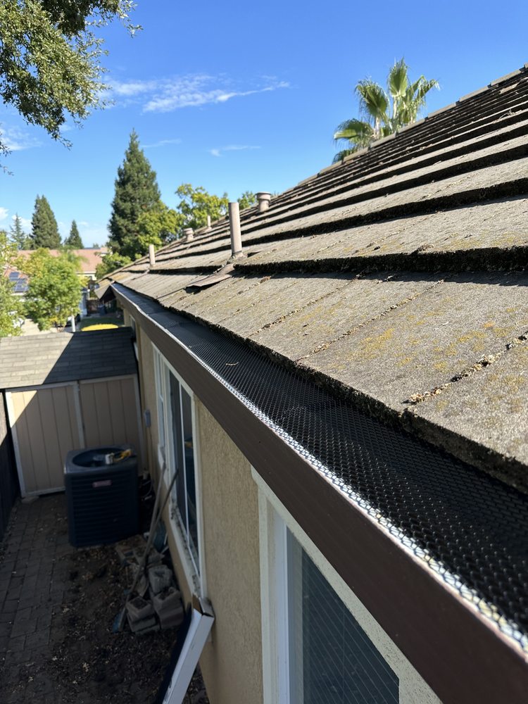 Slide of Amor Fati Fixers