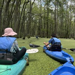 Blackwater Preserve