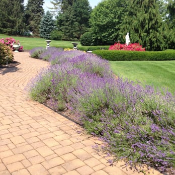 Turfpro - Turfpro - Landscaping Near Me - Zionsville, Pennsylvania Turfpro - Turfpro - Landscaping Near Me - Zionsville, Pennsylvania