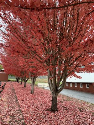 Oregon Heritage Farms by null