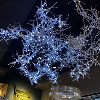 Wildwood Kitchen & Bar - New American Near Me - Sacramento, California Wildwood Kitchen & Bar - New American Near Me - Sacramento, California