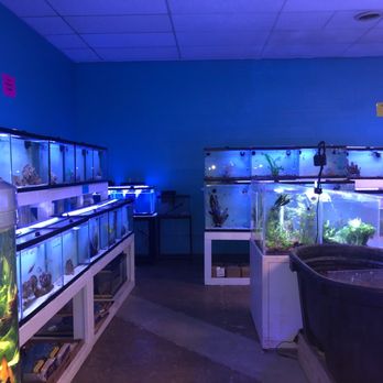 Reef Architects - Local Fish Stores Near Me - Greensboro, North Carolina