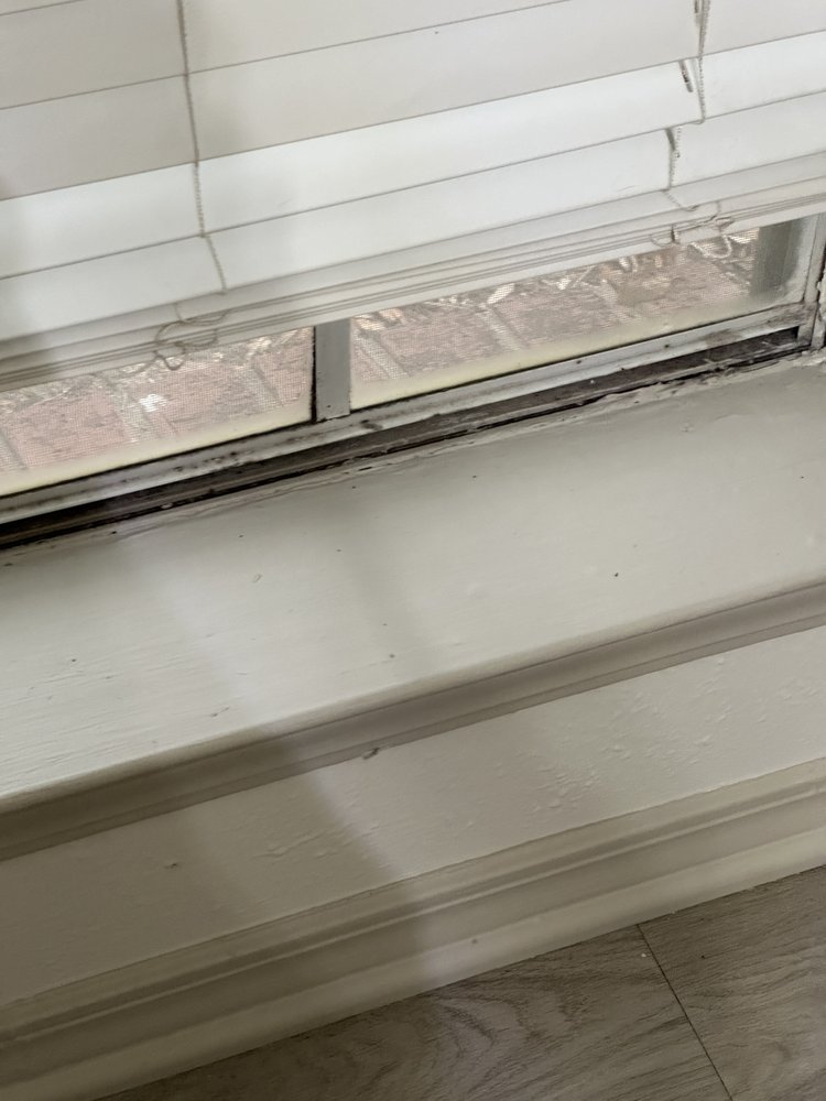 THE VINES APARTMENTS Updated August 2024 60 Photos & 23 Reviews