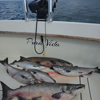 Pura Vida Charters - Fishing Near Me - Mexico, New York