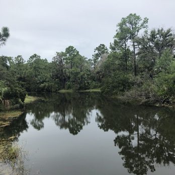 Cypress Creek Natural Area - Hiking Near Me - Jupiter, Florida Cypress Creek Natural Area - Hiking Near Me - Jupiter, Florida
