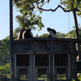 Naples Zoo - Zoos Near Me - Naples, Florida