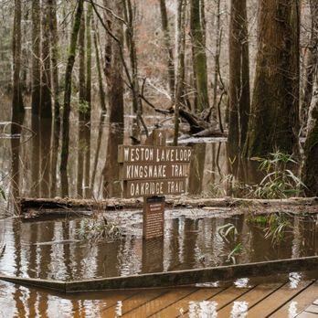 Congaree National Park - Parks Near Me - Hopkins, South Carolina