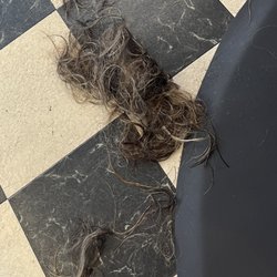 Unique Hair Salon - My dead damaged hair
