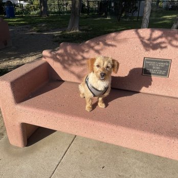 Redondo Beach Dog Park - Lots of benches - Dog Parks Near Me - Redondo Beach, California Redondo Beach Dog Park - Lots of benches - Dog Parks Near Me - Redondo Beach, California