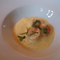 Traubenzeit