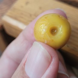Ensalada