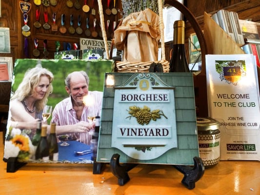 Borghese Vineyard by null