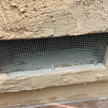 Jetty Termite & Pest Control - Pest Control Near Me - Ventura, California Jetty Termite & Pest Control - Pest Control Near Me - Ventura, California
