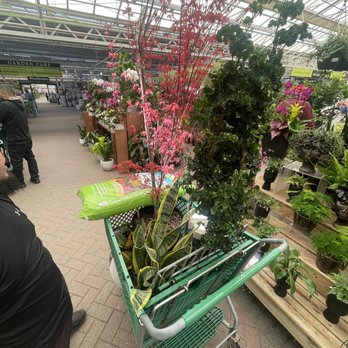 Hicks Nurseries - My haul from indoor to outdoor plants - Nurseries & Gardening Near Me - Westbury, New York