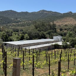 On premises Winery