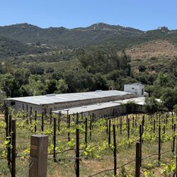 On premises Winery