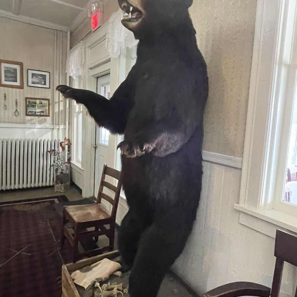 Adirondack Hotel - Rustic charm - Hotels Near Me - Long Lake, New York