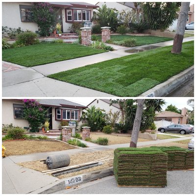 Sod grass & Sprinkler Installation - These are some of the projects we worked on recently for our clients. We installed sod grass and irrigation system including either a digital timer or Wi-Fi timer. We guarantee you will be satisfied with the quality of the materials to the details of the work performed from A to Z! We strive and commit to making your yard look beautiful by the end of the project! Sod grass & Sprinkler Installation - These are some of the projects we worked on recently for our clients. We installed sod grass and irrigation system including either a digital timer or Wi-Fi timer. We guarantee you will be satisfied with the quality of the materials to the details of the work performed from A to Z! We strive and commit to making your yard look beautiful by the end of the project!