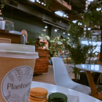 Plantoem - Front counter - Cafes Near Me - Honolulu, Hawaii