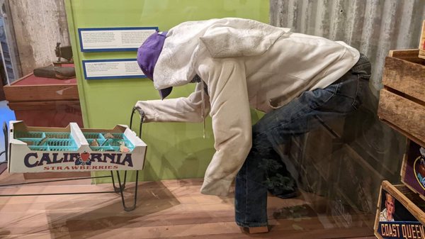 Santa Cruz Museum of Art & History by null