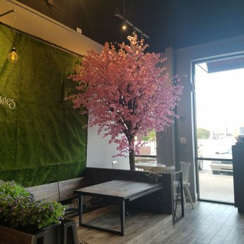 1102 Bubble Tea & Bites - Tree story - Desserts Near Me - Arlington, Texas
