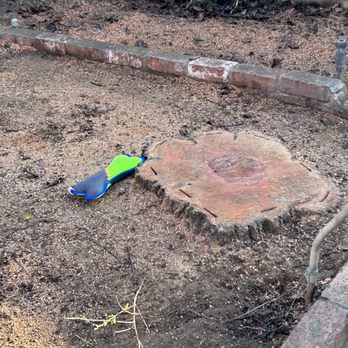 Trim Right Tree Care - Stump and Lucy's memorial to the tree. - Tree Services Near Me Trim Right Tree Care - Stump and Lucy's memorial to the tree. - Tree Services Near Me
