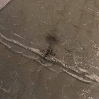 SIXTY Beverly Hills - Moldy bed. - Hotels Near Me - Beverly Hills, California SIXTY Beverly Hills - Moldy bed. - Hotels Near Me - Beverly Hills, California