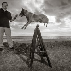 Exceptional Obedience Dog Training
